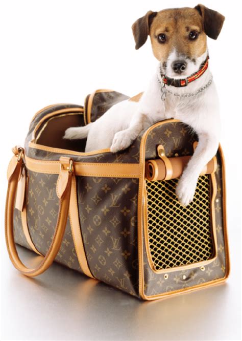 louis vuitton animal carrier|louis vuitton pet collar.